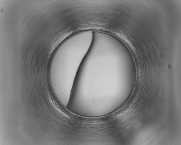 X0000059800533200510210859