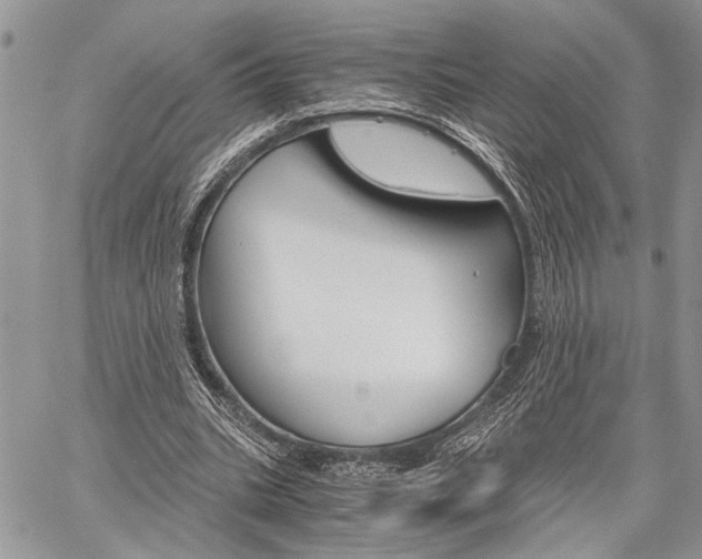 X0000059800535200510210859