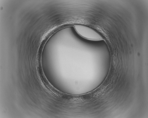 X0000059800536200510210859