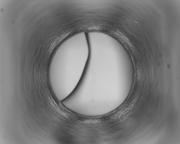 X0000059800537200510210859