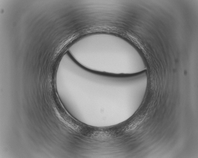 X0000059800538200510210859