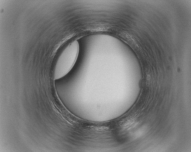 X0000059800539200510210859