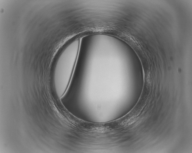 X0000059800540200510210859