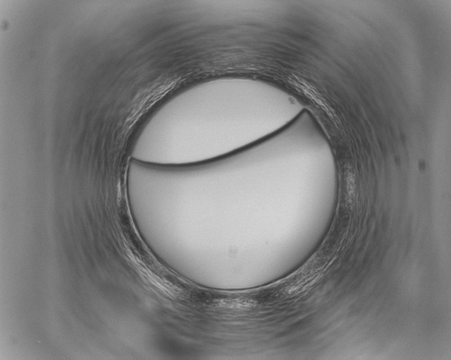 X0000059800541200510210859