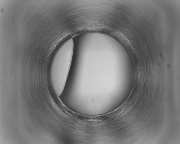 X0000059800542200510210859