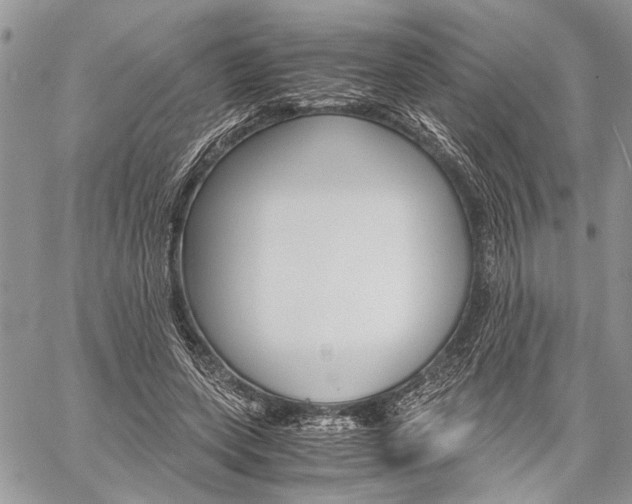 X0000059800543200510210859