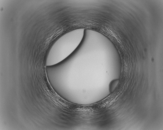 X0000059800545200510210859