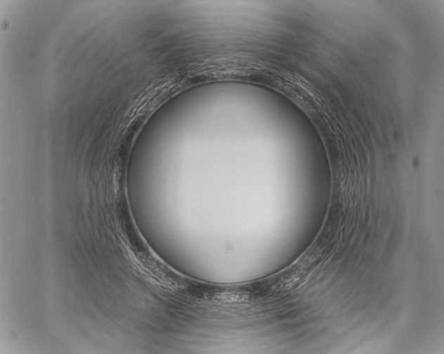 X0000059800546200510210859