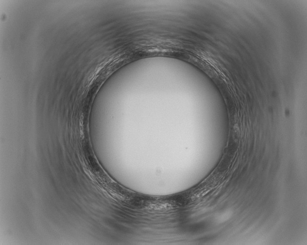 X0000059800547200510210859