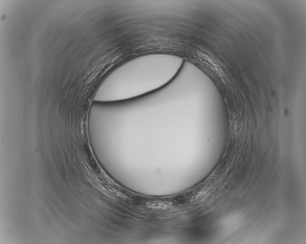 X0000059800549200510210859