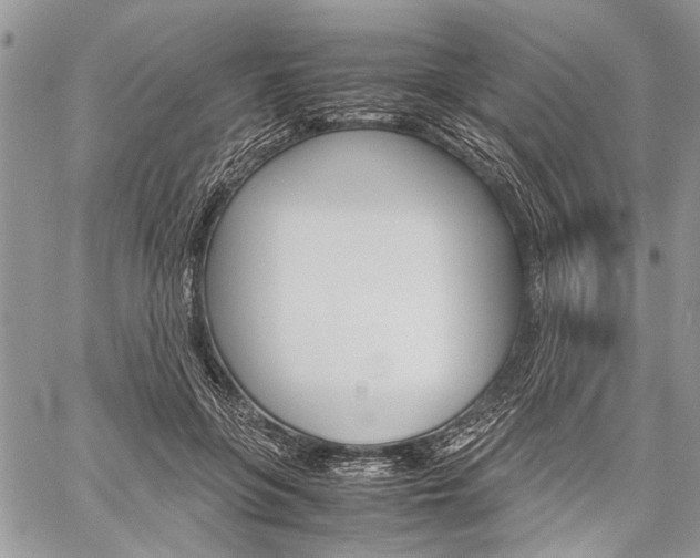 X0000059800551200510210859