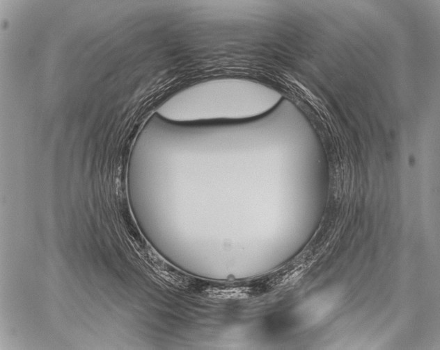 X0000059800553200510210859