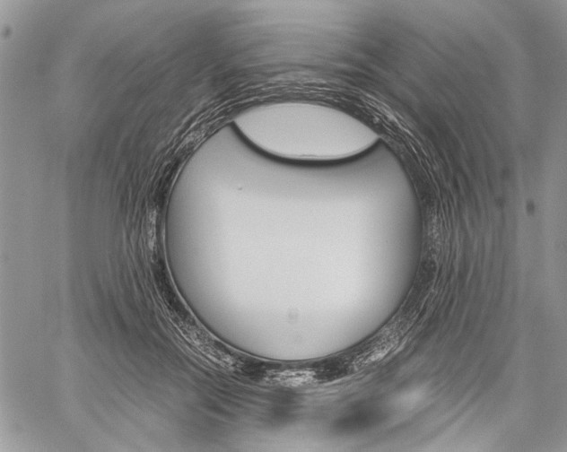 X0000059800554200510210859