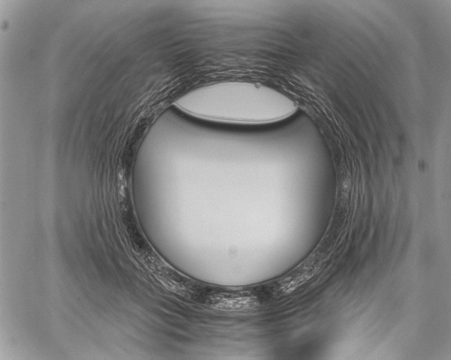 X0000059800555200510210859