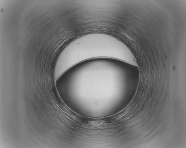 X0000059800556200510210859