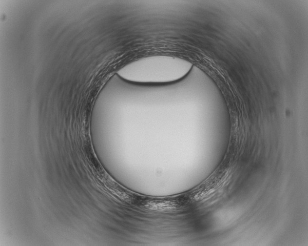 X0000059800557200510210859