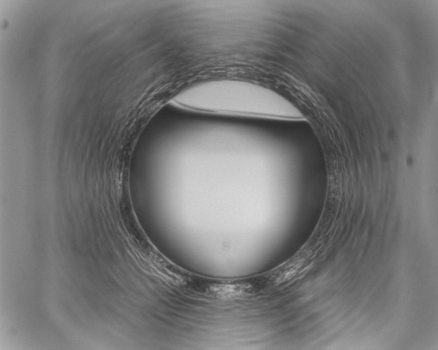 X0000059800558200510210859