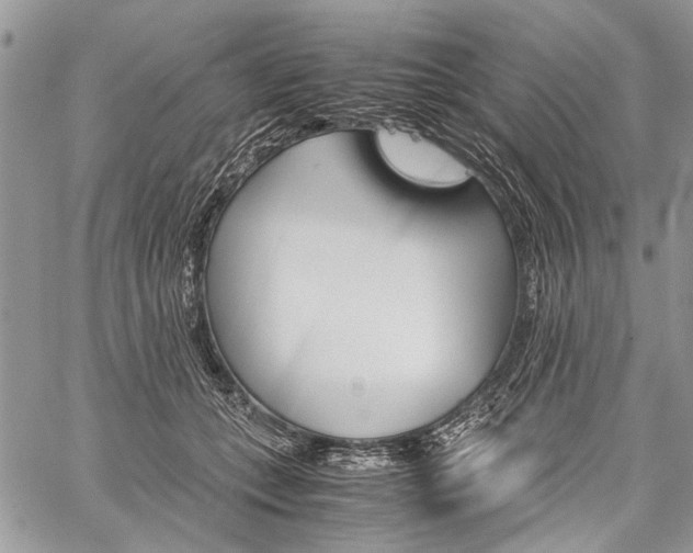 X0000059800559200510210859