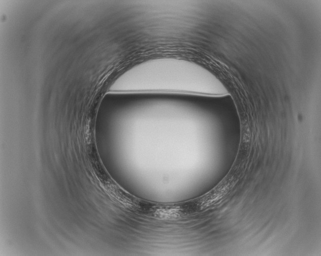 X0000059800560200510210859