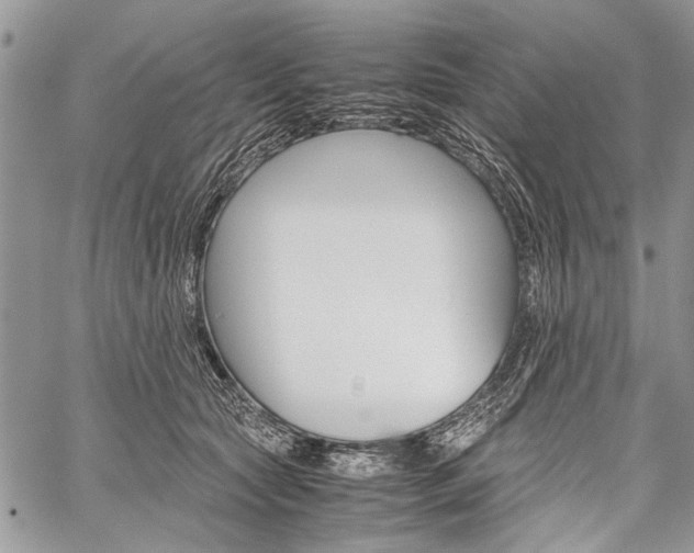 X0000059800561200510210900