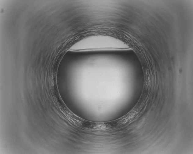 X0000059800562200510210900