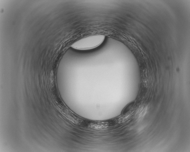 X0000059800563200510210900