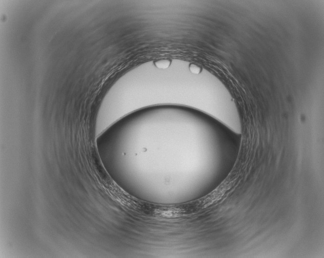 X0000059800564200510210900