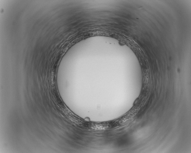 X0000059800565200510210900