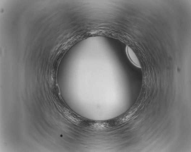 X0000059800566200510210900