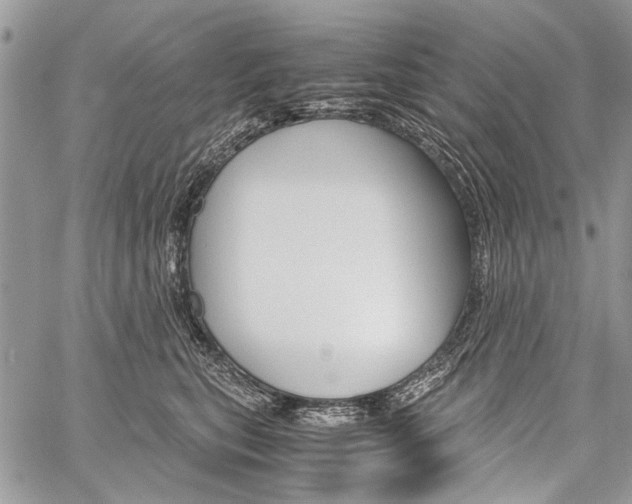 X0000059800567200510210900