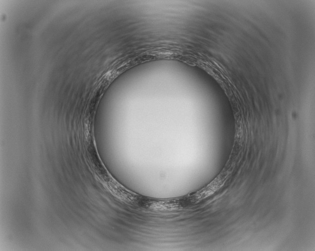 X0000059800568200510210900