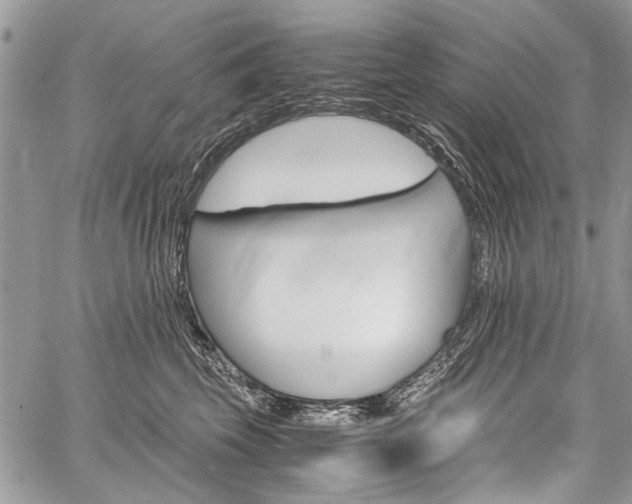 X0000059800569200510210900