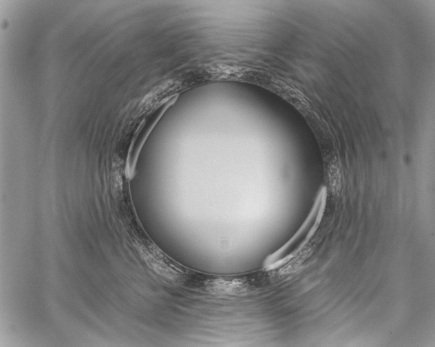 X0000059800570200510210900