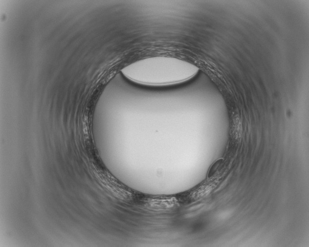 X0000059800571200510210900