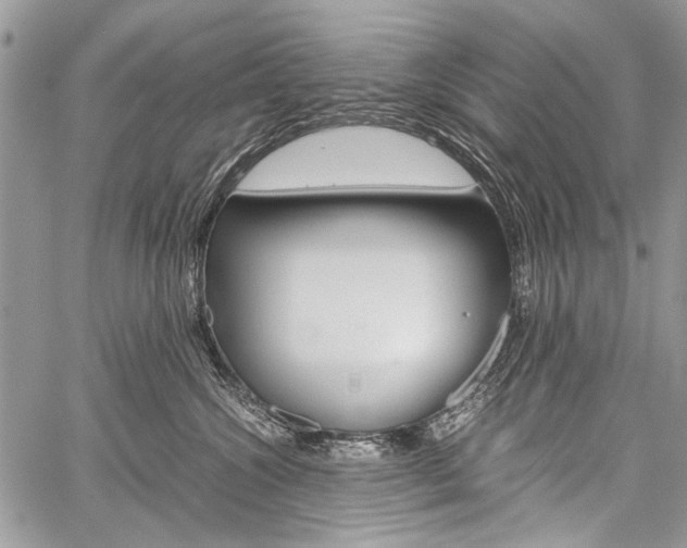 X0000059800572200510210900