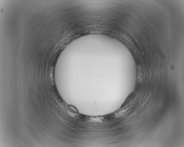 X0000059800573200510210900