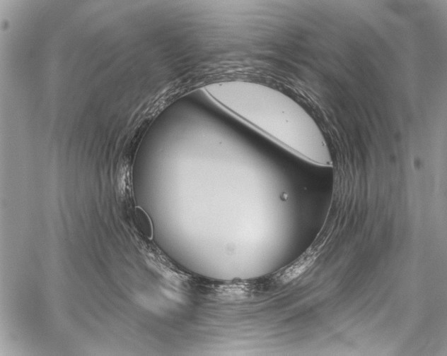 X0000059800574200510210900