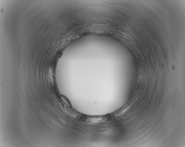 X0000059800575200510210900