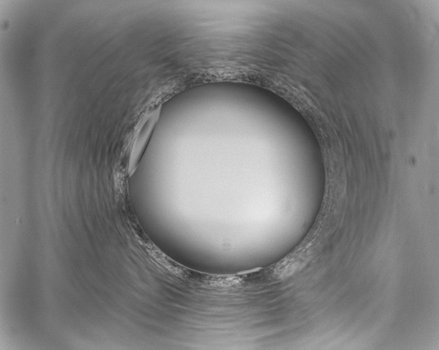 X0000059800576200510210900