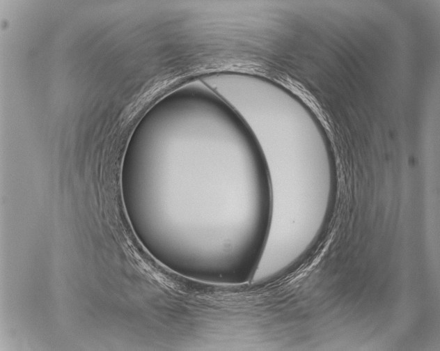 X0000059800577200510210859