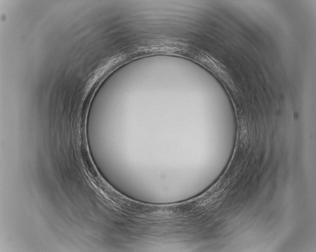 X0000059800578200510210859