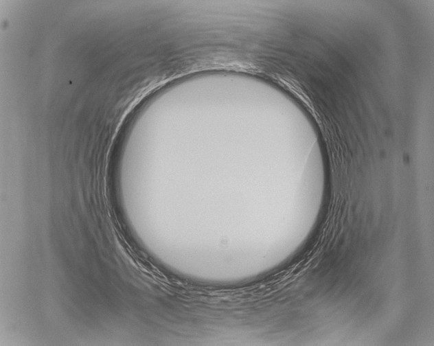 X0000059800579200510210859