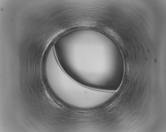 X0000059800580200510210859