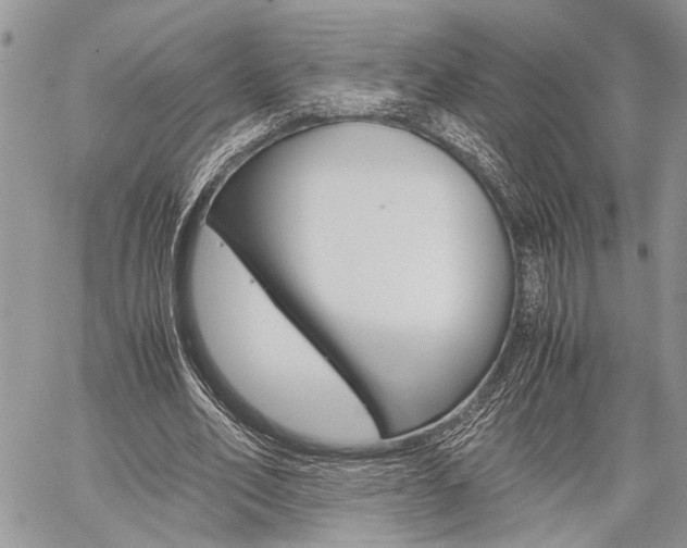 X0000059800582200510210859