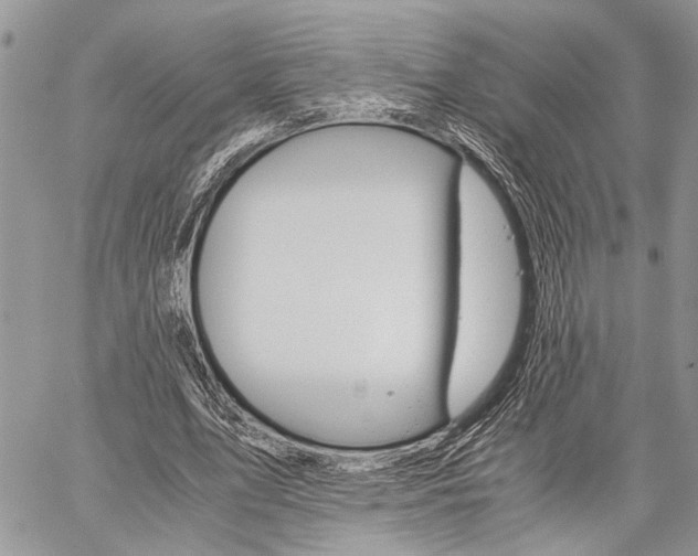 X0000059800583200510210859