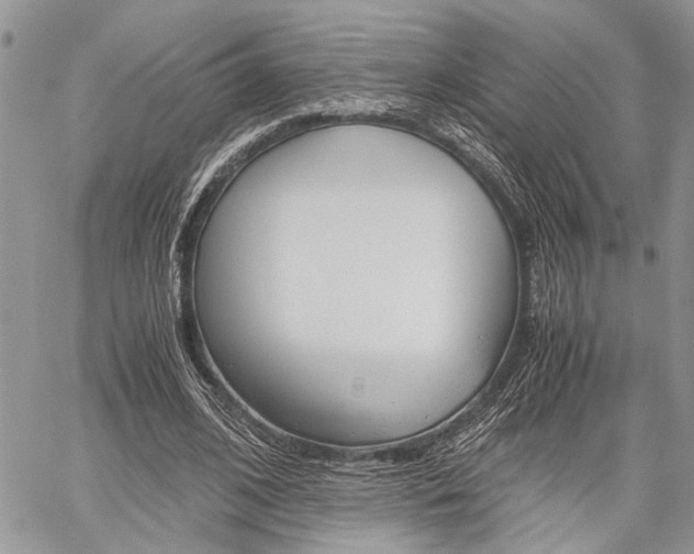 X0000059800584200510210859