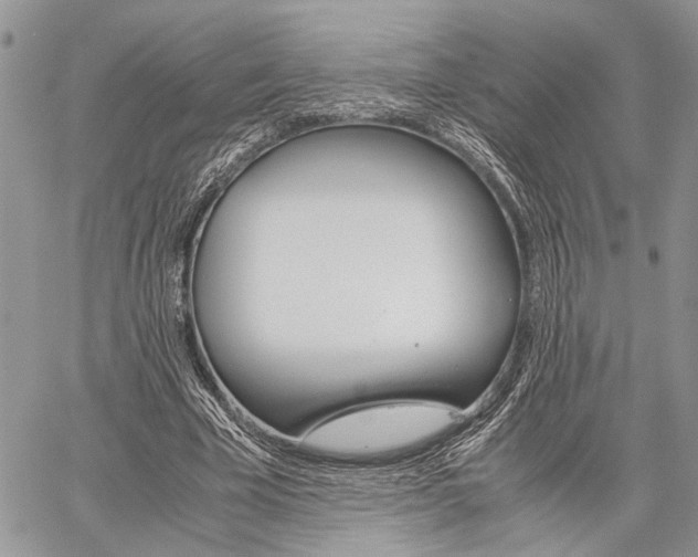 X0000059800585200510210859