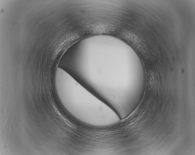 X0000059800590200510210859