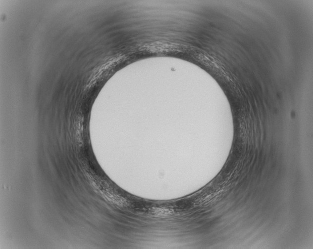 X0000059800592200510210859