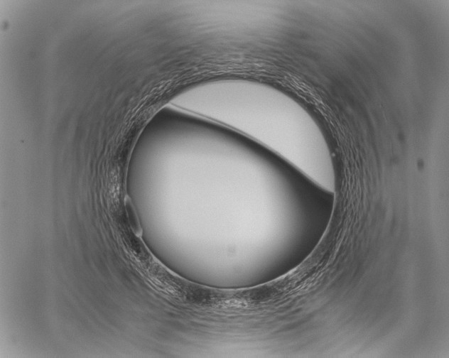 X0000059800593200510210859